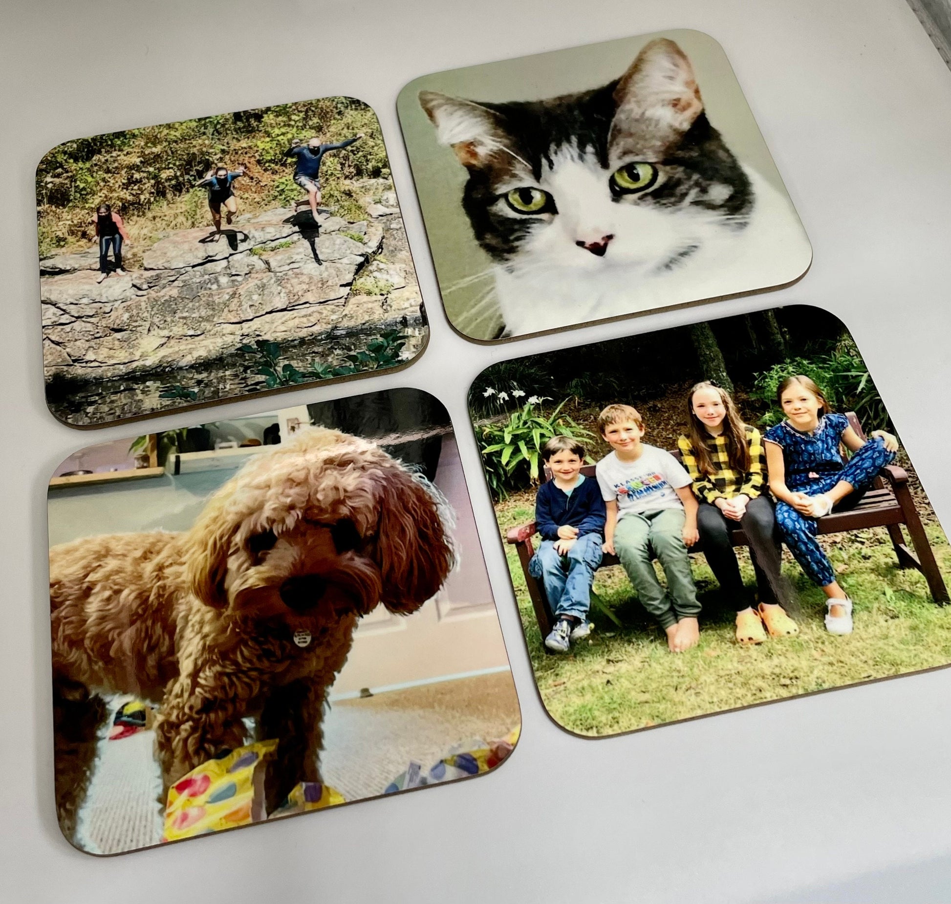 Cat coasters - custom coaster - photo coaster - personalised coaster - dog coaster - family photo