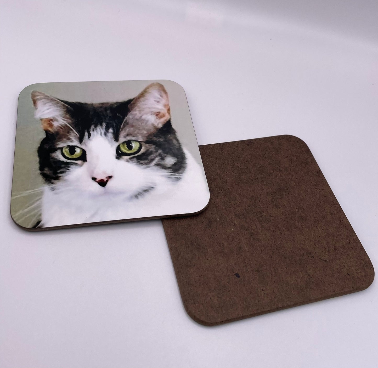 Family coasters - photo coaster - personalised coaster - dog coaster - custom photo