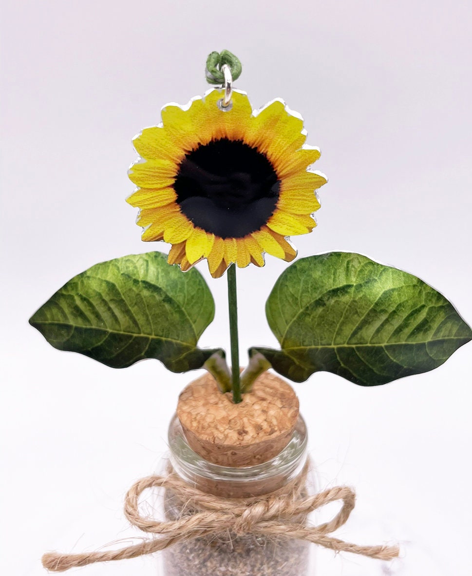 Sunflower - Sunflower gift - Mini sunflower - Flowers in a jar - Mini flowers - Miniature flowers - flower gift - miniature sunlflower