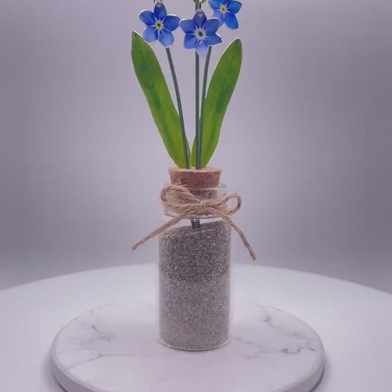 Forget me nots - Flowers in a jar - Mini flowers - Mini forget me nots - Miniature flowers - flower gift