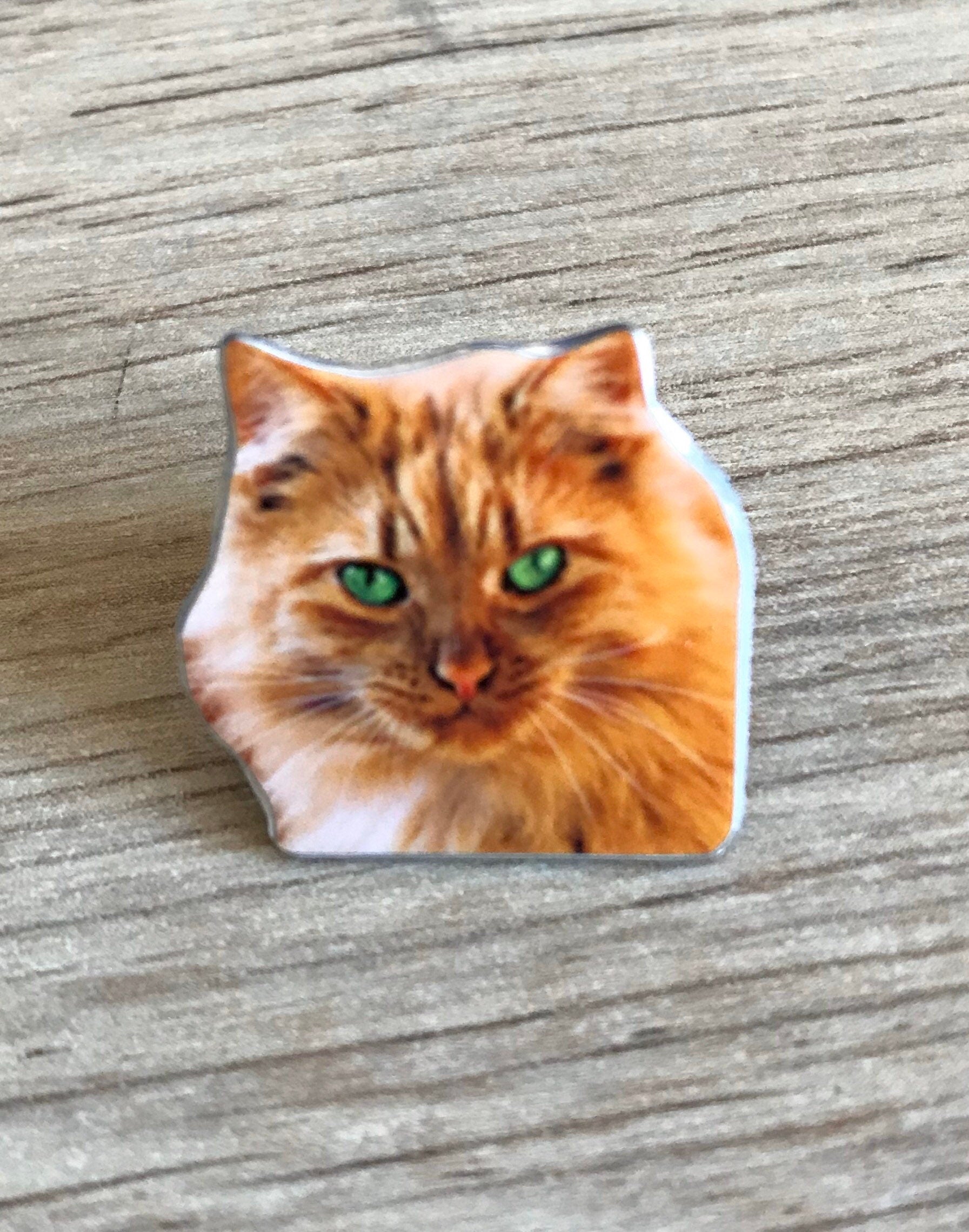 Custom pet brooch - custom pet badge - custom pet pin - pet brooch - personalised pet brooch - pet photo brooch