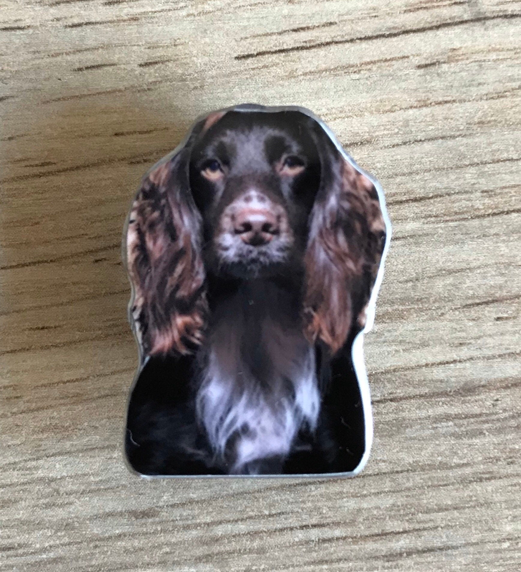 Custom pet brooch - custom pet badge - custom pet pin - pet brooch - personalised pet brooch - pet photo brooch