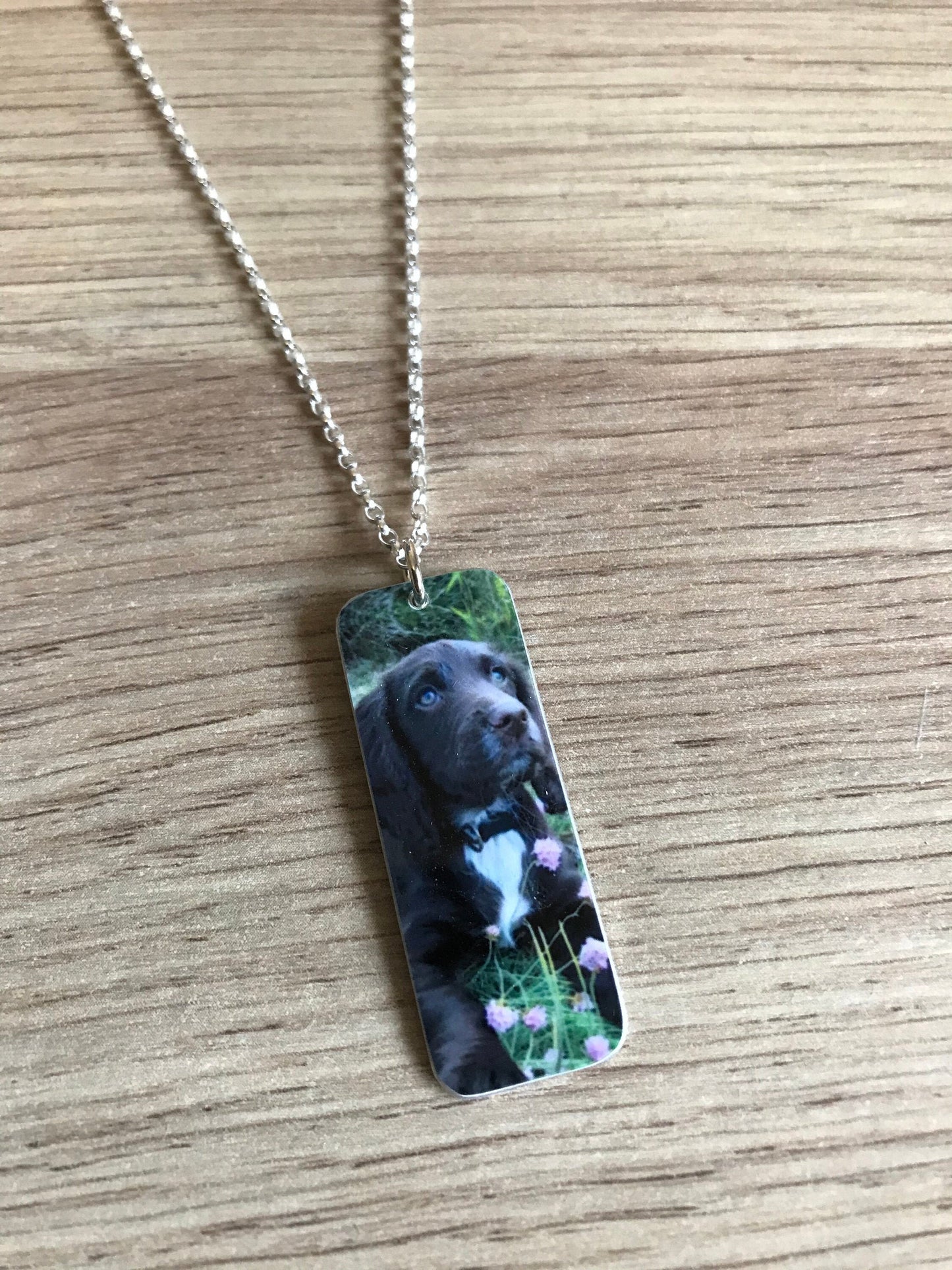 Custom Dog Photo Necklace - Long Custom Dog - Dog Necklace - Dog Lover - Dog Gift - Tag Pendant - Dog Photo Pendant - Dog Photo Tag Pendant